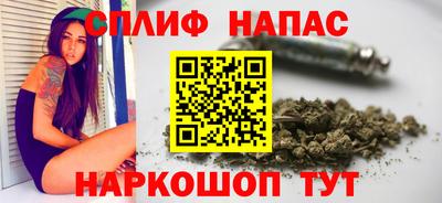 гидра Обь
