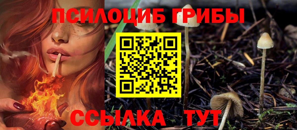 Псилоцибиновые грибы GOLDEN TEACHER Псков