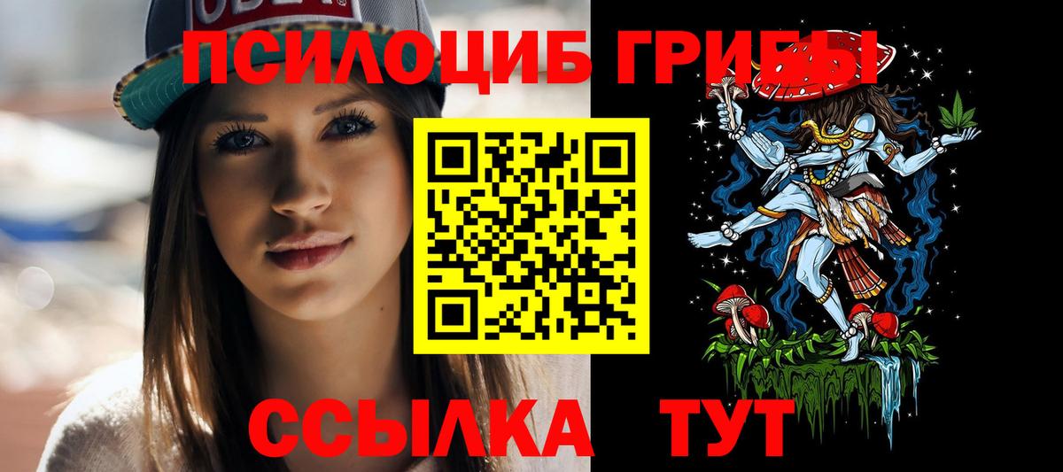 Галлюциногенные грибы Psilocybe  Вход с VPN  Псилоцибиновые грибы прущие грибы  Псков 